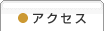 �A�N�Z�X